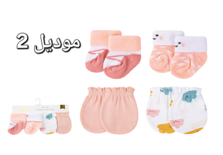 موديل 2